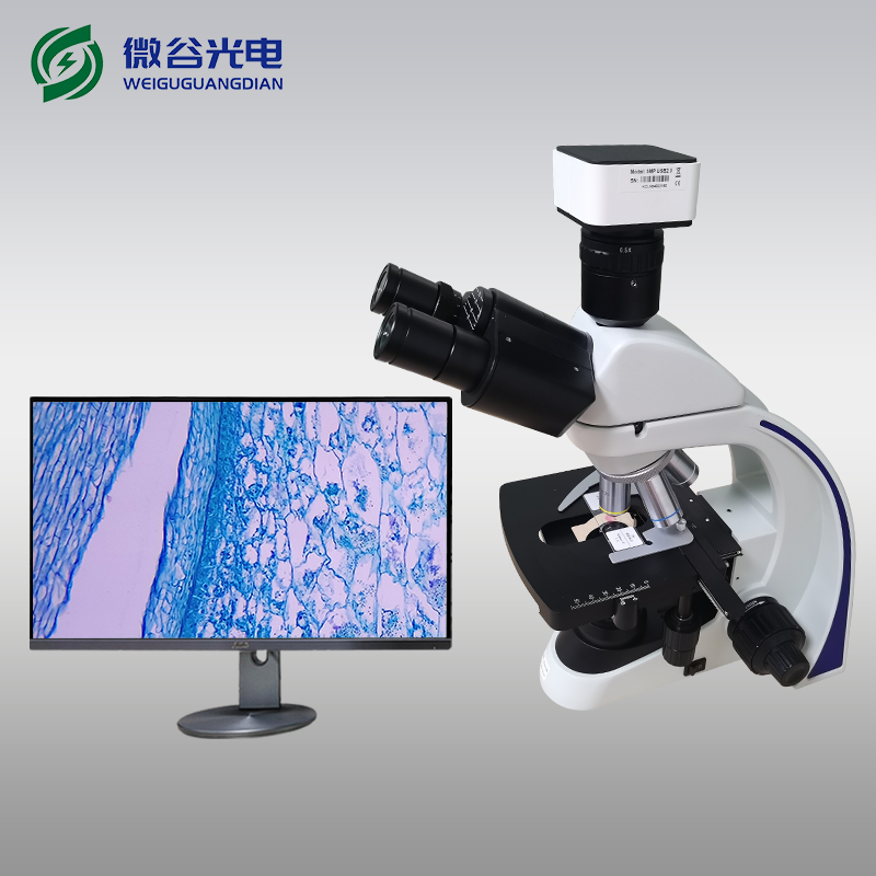 生物數(shù)碼顯微鏡的使用及維護(hù)注意事項